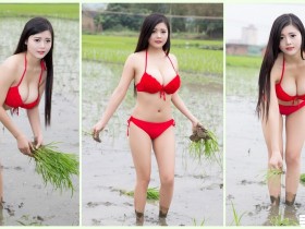 【BTC365币投】鄉下地方驚見「90cm大胸妹」爆乳種田引瘋傳!超邪惡「插秧畫面」會害男人摔進田裡…