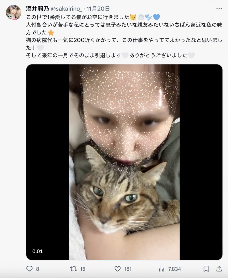 【BTC365币投】爱猫过世了⋯东北美人的她也不做了!