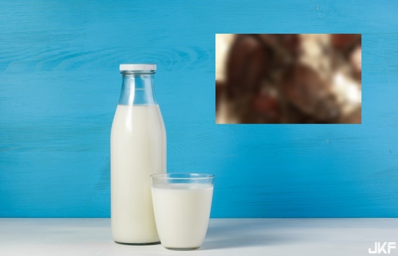 【BTC365币投】超營養「蟑螂奶」！能量是牛奶3倍 你敢喝嗎？