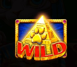 【BTC365币投】埃及神猫：探寻古埃及的未解之谜