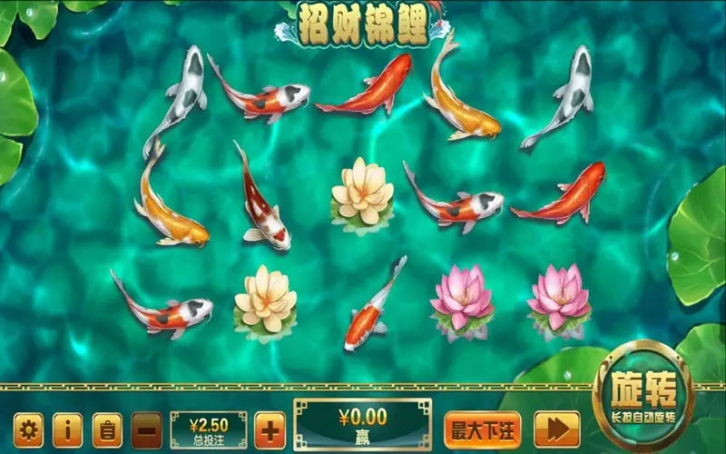 【BTC365币投】大发娱乐全新力作 —— 招财锦鲤，带你畅游好运与财富