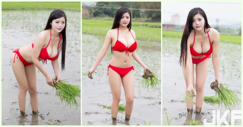 【BTC365币投】鄉下地方驚見「90cm大胸妹」爆乳種田引瘋傳！超邪惡「插秧畫面」會害男人摔進田裡…